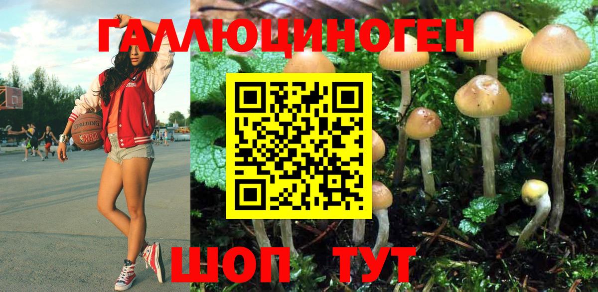 Галлюциногенные грибы ЛСД Новокубанск