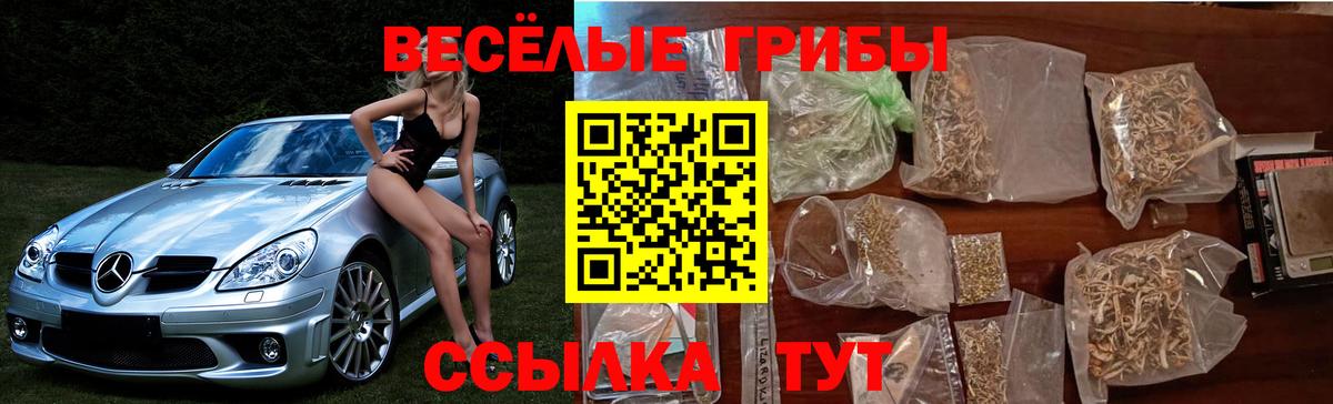 Псилоцибиновые грибы прущие грибы  Вход с VPN  Псилоцибиновые грибы ЛСД  Новокубанск 